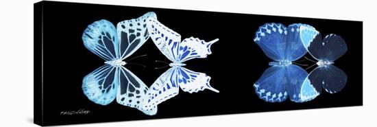 Miss Butterfly X-Ray Duo Black Pano III-Philippe Hugonnard-Stretched Canvas