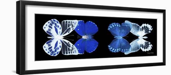 Miss Butterfly X-Ray Duo Black Pano IV-Philippe Hugonnard-Framed Photographic Print