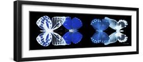 Miss Butterfly X-Ray Duo Black Pano IV-Philippe Hugonnard-Framed Photographic Print