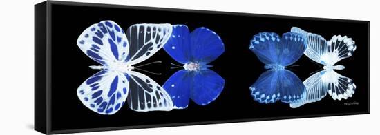 Miss Butterfly X-Ray Duo Black Pano IV-Philippe Hugonnard-Framed Stretched Canvas