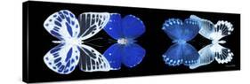 Miss Butterfly X-Ray Duo Black Pano IV-Philippe Hugonnard-Stretched Canvas