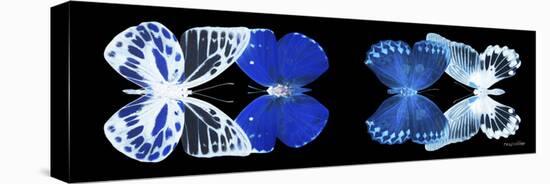Miss Butterfly X-Ray Duo Black Pano IV-Philippe Hugonnard-Stretched Canvas