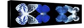 Miss Butterfly X-Ray Duo Black Pano IV-Philippe Hugonnard-Stretched Canvas