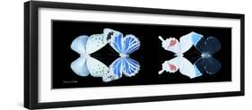 Miss Butterfly X-Ray Duo Black Pano V-Philippe Hugonnard-Framed Premium Photographic Print