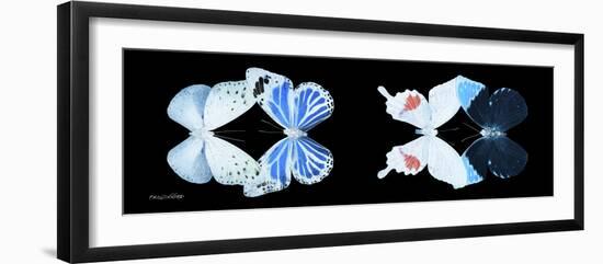 Miss Butterfly X-Ray Duo Black Pano V-Philippe Hugonnard-Framed Photographic Print