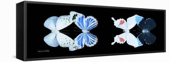 Miss Butterfly X-Ray Duo Black Pano V-Philippe Hugonnard-Framed Stretched Canvas