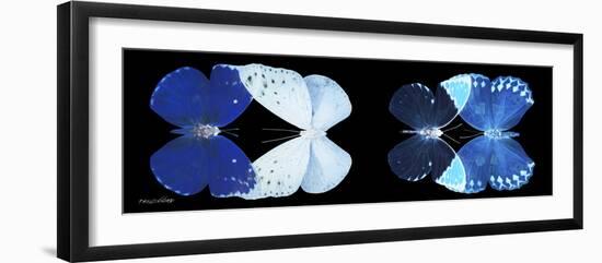 Miss Butterfly X-Ray Duo Black Pano VI-Philippe Hugonnard-Framed Photographic Print