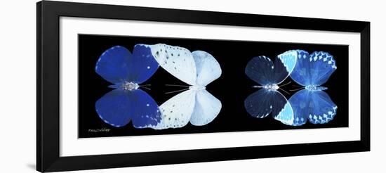 Miss Butterfly X-Ray Duo Black Pano VI-Philippe Hugonnard-Framed Photographic Print