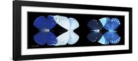 Miss Butterfly X-Ray Duo Black Pano VI-Philippe Hugonnard-Framed Photographic Print