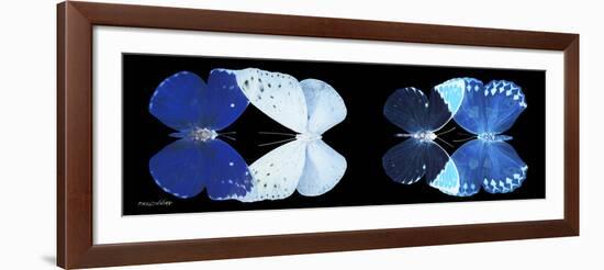 Miss Butterfly X-Ray Duo Black Pano VI-Philippe Hugonnard-Framed Photographic Print