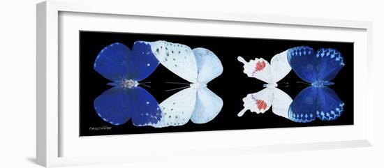 Miss Butterfly X-Ray Duo Black Pano VII-Philippe Hugonnard-Framed Photographic Print