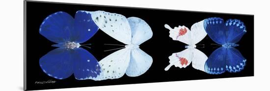 Miss Butterfly X-Ray Duo Black Pano VII-Philippe Hugonnard-Mounted Photographic Print