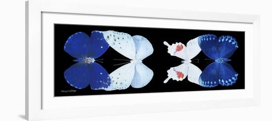 Miss Butterfly X-Ray Duo Black Pano VII-Philippe Hugonnard-Framed Photographic Print