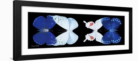 Miss Butterfly X-Ray Duo Black Pano VII-Philippe Hugonnard-Framed Photographic Print