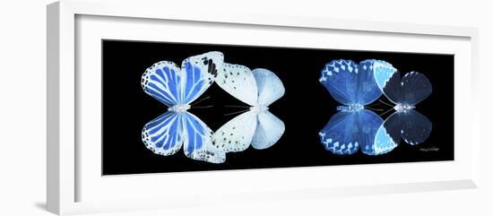 Miss Butterfly X-Ray Duo Black Pano X-Philippe Hugonnard-Framed Photographic Print