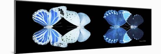 Miss Butterfly X-Ray Duo Black Pano X-Philippe Hugonnard-Mounted Photographic Print