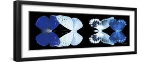 Miss Butterfly X-Ray Duo Black Pano XI-Philippe Hugonnard-Framed Photographic Print