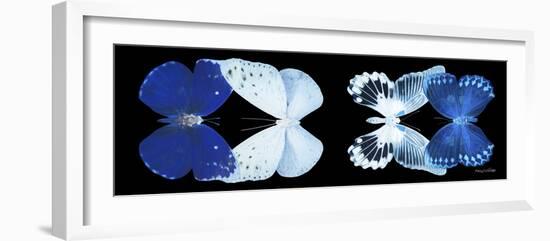 Miss Butterfly X-Ray Duo Black Pano XI-Philippe Hugonnard-Framed Photographic Print