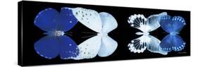 Miss Butterfly X-Ray Duo Black Pano XI-Philippe Hugonnard-Stretched Canvas