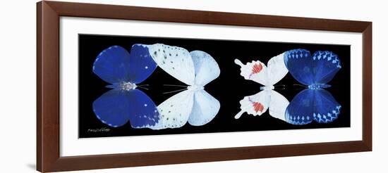 Miss Butterfly X-Ray Duo Black Pano XII-Philippe Hugonnard-Framed Photographic Print