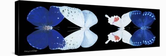 Miss Butterfly X-Ray Duo Black Pano XII-Philippe Hugonnard-Stretched Canvas