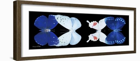 Miss Butterfly X-Ray Duo Black Pano XII-Philippe Hugonnard-Framed Photographic Print