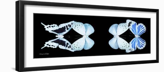 Miss Butterfly X-Ray Duo Black Pano XIII-Philippe Hugonnard-Framed Photographic Print