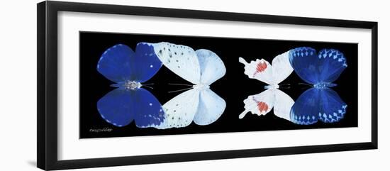 Miss Butterfly X-Ray Duo Black Pano-Philippe Hugonnard-Framed Photographic Print