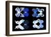 Miss Butterfly X-Ray Duo Black V-Philippe Hugonnard-Framed Photographic Print