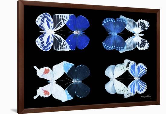 Miss Butterfly X-Ray Duo Black V-Philippe Hugonnard-Framed Photographic Print