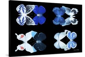 Miss Butterfly X-Ray Duo Black V-Philippe Hugonnard-Stretched Canvas