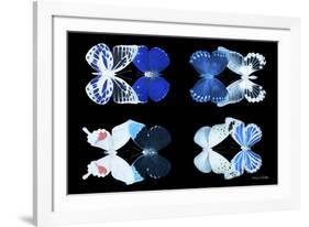 Miss Butterfly X-Ray Duo Black V-Philippe Hugonnard-Framed Photographic Print