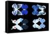 Miss Butterfly X-Ray Duo Black V-Philippe Hugonnard-Framed Stretched Canvas