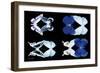 Miss Butterfly X-Ray Duo Black-Philippe Hugonnard-Framed Photographic Print