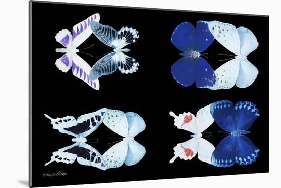 Miss Butterfly X-Ray Duo Black-Philippe Hugonnard-Mounted Photographic Print