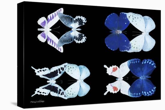 Miss Butterfly X-Ray Duo Black-Philippe Hugonnard-Stretched Canvas