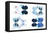 Miss Butterfly X-Ray Duo White II-Philippe Hugonnard-Framed Stretched Canvas