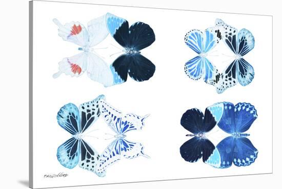 Miss Butterfly X-Ray Duo White II-Philippe Hugonnard-Stretched Canvas