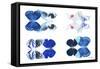 Miss Butterfly X-Ray Duo White III-Philippe Hugonnard-Framed Stretched Canvas