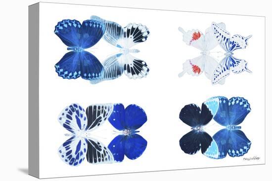 Miss Butterfly X-Ray Duo White III-Philippe Hugonnard-Stretched Canvas