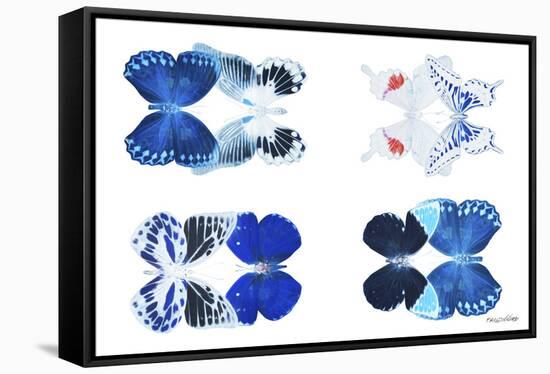 Miss Butterfly X-Ray Duo White III-Philippe Hugonnard-Framed Stretched Canvas