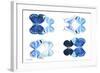 Miss Butterfly X-Ray Duo White IV-Philippe Hugonnard-Framed Photographic Print