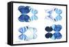 Miss Butterfly X-Ray Duo White IV-Philippe Hugonnard-Framed Stretched Canvas