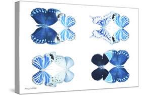 Miss Butterfly X-Ray Duo White IV-Philippe Hugonnard-Stretched Canvas