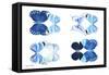 Miss Butterfly X-Ray Duo White IV-Philippe Hugonnard-Framed Stretched Canvas