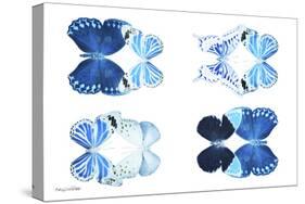 Miss Butterfly X-Ray Duo White IV-Philippe Hugonnard-Stretched Canvas