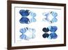 Miss Butterfly X-Ray Duo White IV-Philippe Hugonnard-Framed Photographic Print