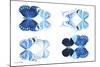Miss Butterfly X-Ray Duo White IV-Philippe Hugonnard-Mounted Photographic Print