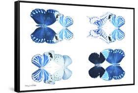 Miss Butterfly X-Ray Duo White IV-Philippe Hugonnard-Framed Stretched Canvas