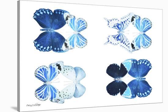 Miss Butterfly X-Ray Duo White IV-Philippe Hugonnard-Stretched Canvas